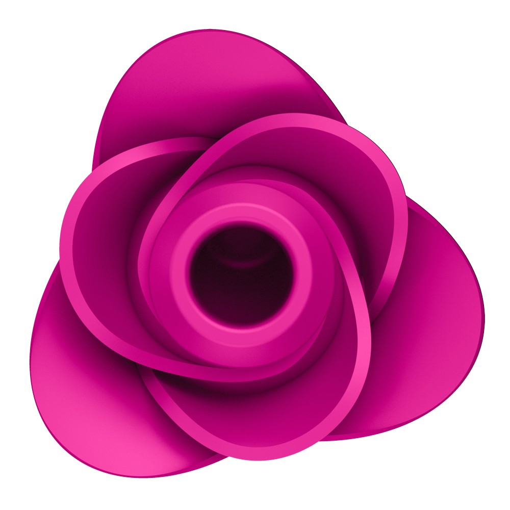 Satisfyer Pro 2 Modern Blossom — Léghullámos Csiklóizgató - Image 5